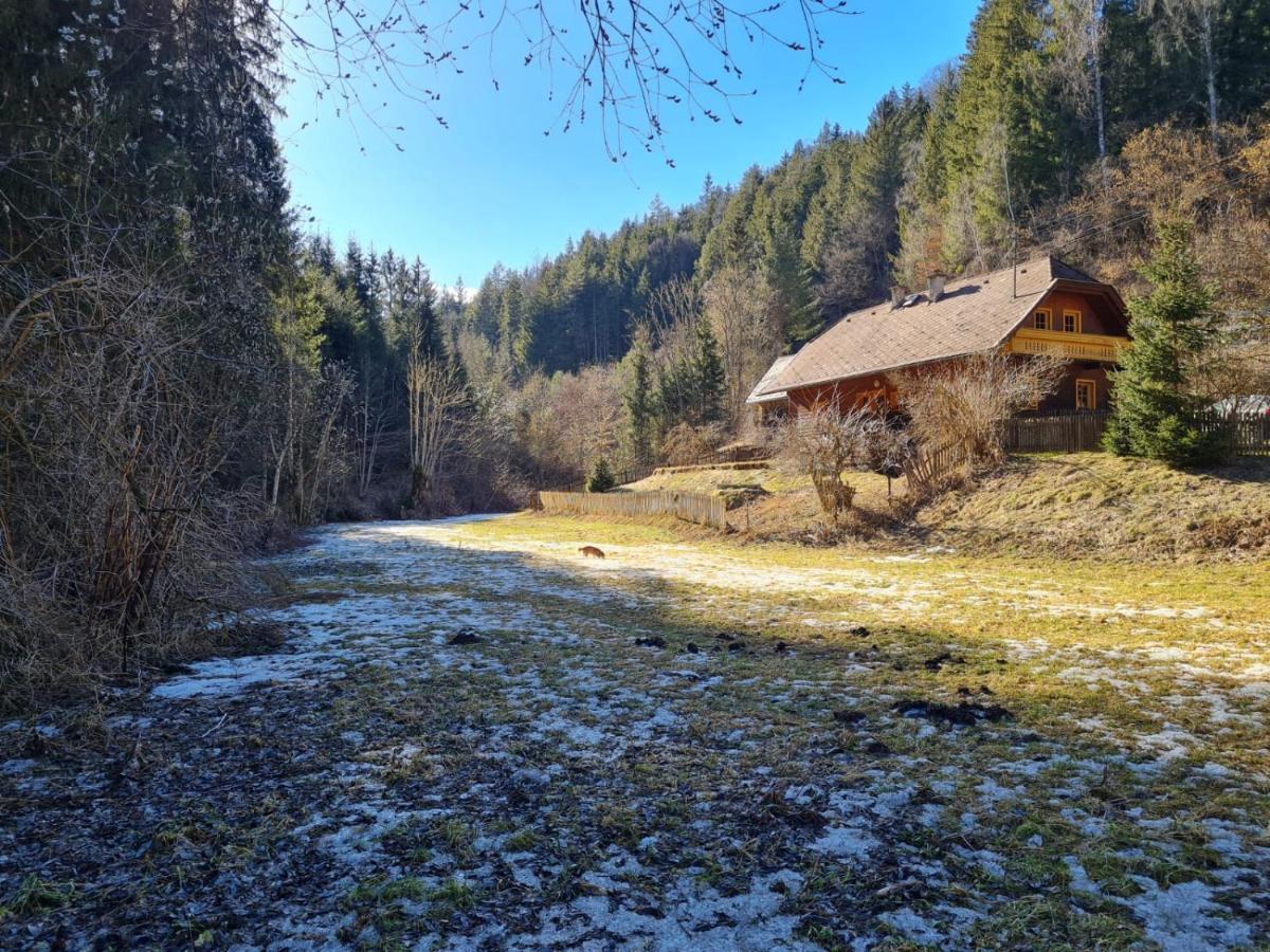 Chalet Am Bach Deutschgriffen Екстериор снимка